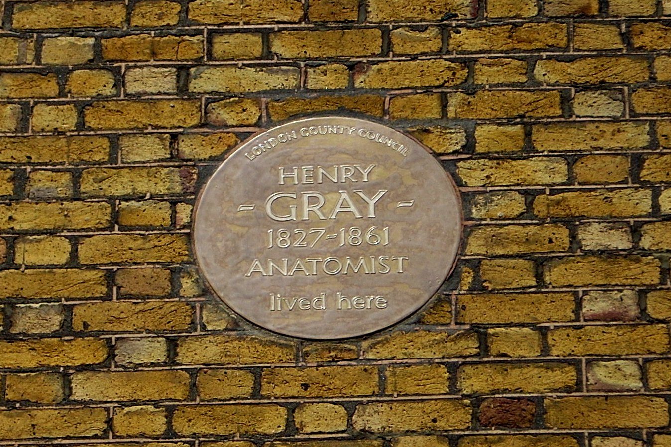 Henry Gray S Home